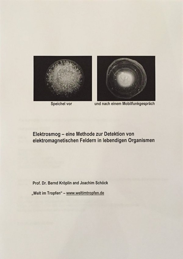 Research Paper: Elektrosmog und lebendige Organismen (German translation)
